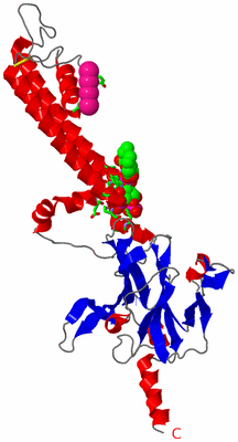 Image Asym. Unit - sites