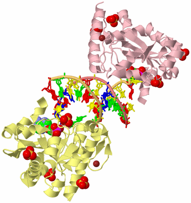 Image Biological Unit 2