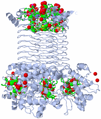 Image Biol. Unit 1 - sites