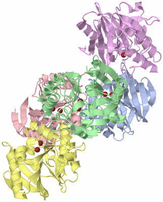 Image Biological Unit 1