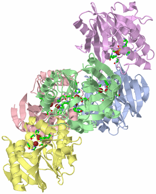 Image Biol. Unit 1 - sites