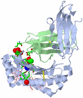 Image Asym./Biol. Unit - sites