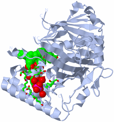 Image Biol. Unit 1 - sites