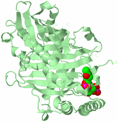 Image Biological Unit 2