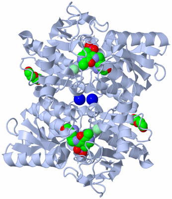 Image Biological Unit 1