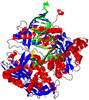 Image Asym./Biol. Unit