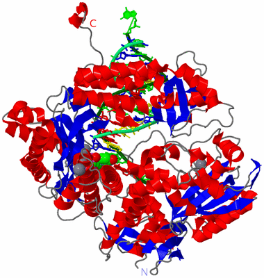 Image Asym./Biol. Unit