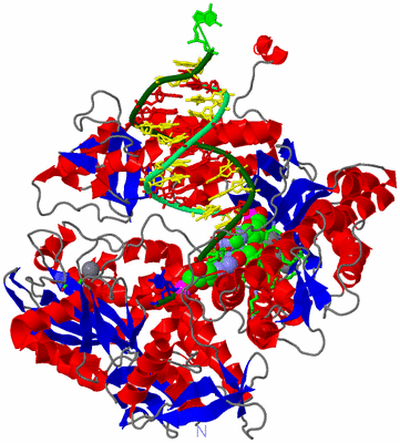 Image Asym./Biol. Unit - sites