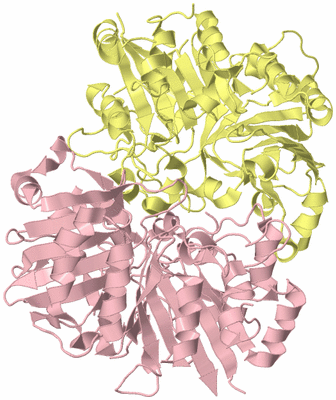 Image Biological Unit 6