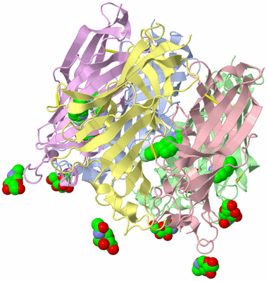 Image Biological Unit 1