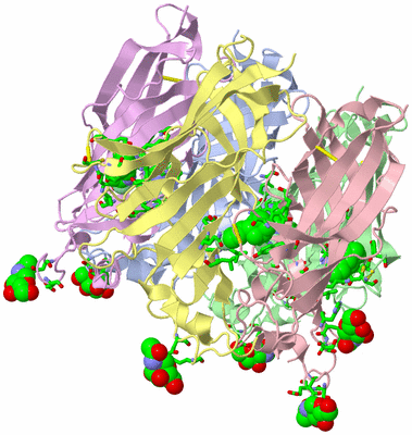 Image Biol. Unit 1 - sites