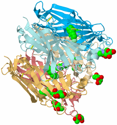 Image Biological Unit 2