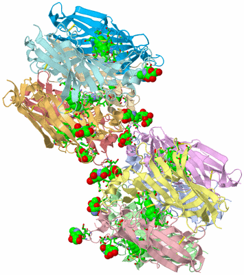 Image Asym. Unit - sites