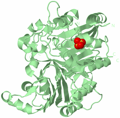 Image Biological Unit 2