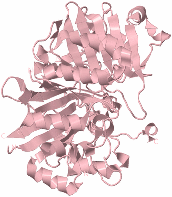 Image Biological Unit 3