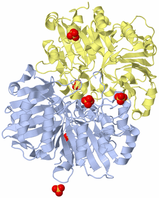 Image Biological Unit 5