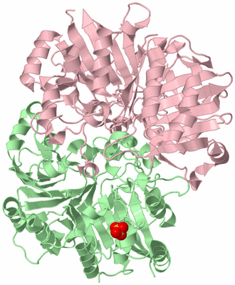 Image Biological Unit 6