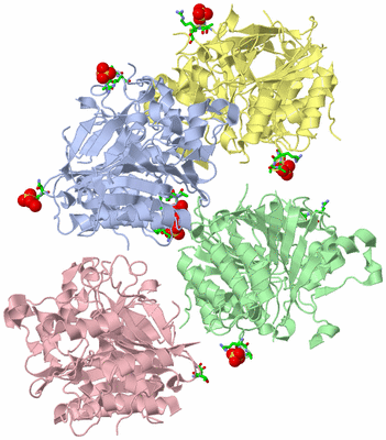 Image Asym. Unit - sites