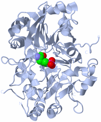 Image Biological Unit 1