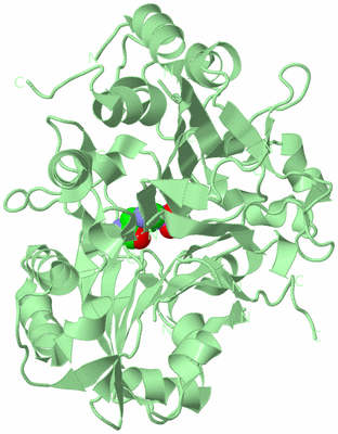 Image Biological Unit 2