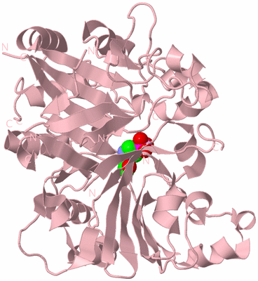 Image Biological Unit 3