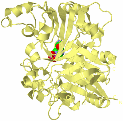 Image Biological Unit 4