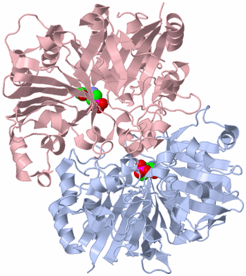 Image Biological Unit 5