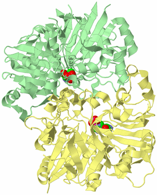 Image Biological Unit 6