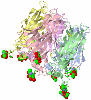 Image Biol. Unit 1 - sites