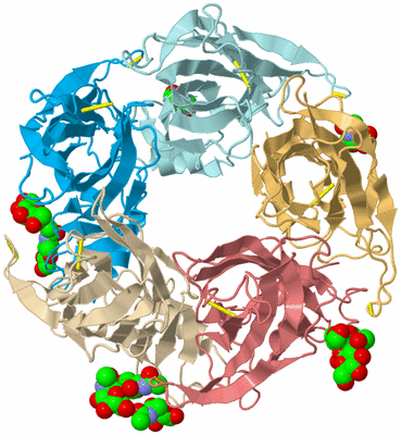 Image Biological Unit 2