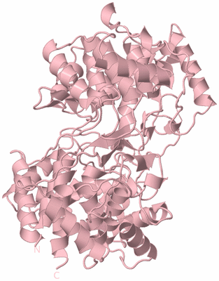 Image Biological Unit 3