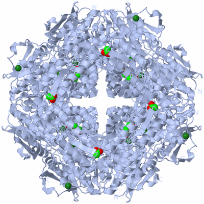 Image Biological Unit 1