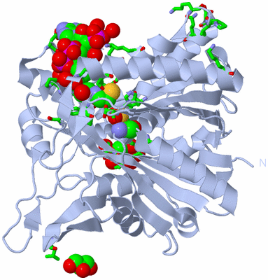 Image Biol. Unit 1 - sites