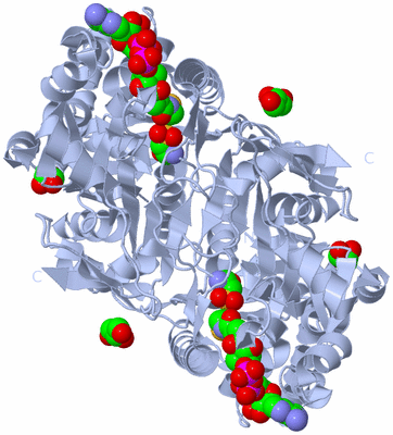 Image Biological Unit 2