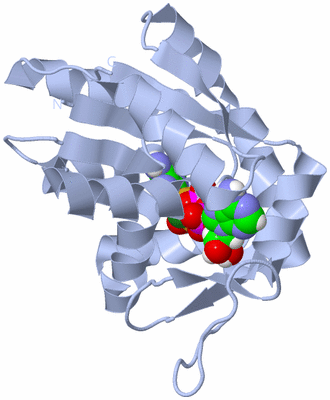 Image Biological Unit 1