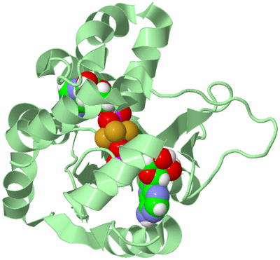 Image Biological Unit 2