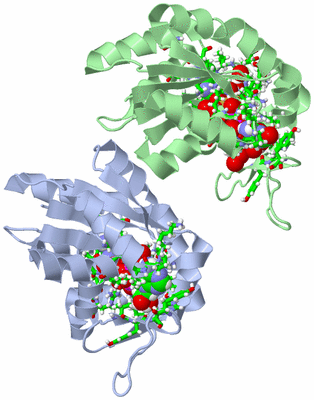 Image Asym. Unit - sites