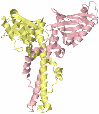 Image Biological Unit 3