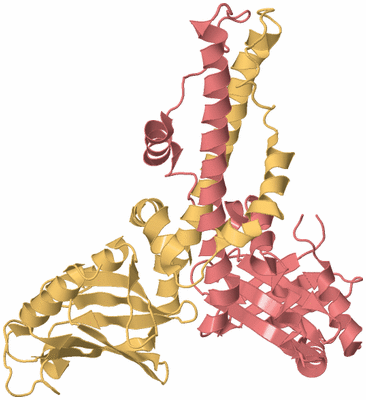 Image Biological Unit 5