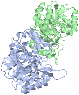 Image Asym./Biol. Unit