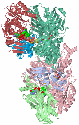 Image Asym./Biol. Unit