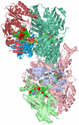 Image Asym./Biol. Unit - sites