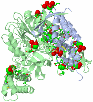 Image Asym./Biol. Unit - sites