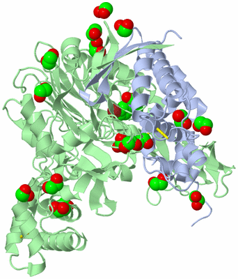 Image Asym./Biol. Unit