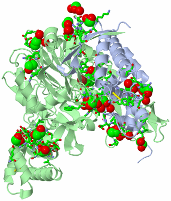 Image Asym./Biol. Unit - sites