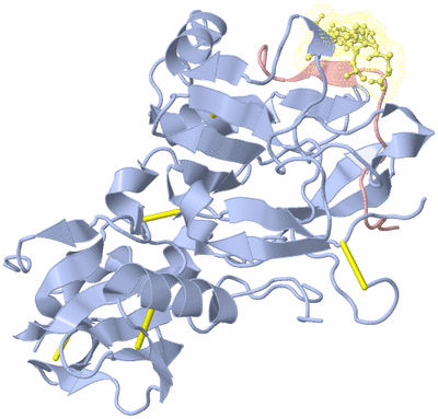 Image Biological Unit 1