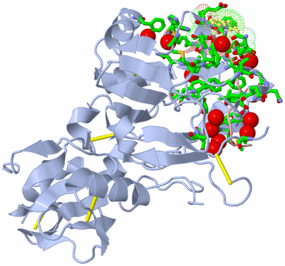 Image Biol. Unit 1 - sites