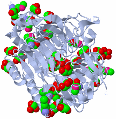 Image Biological Unit 1