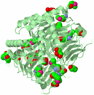 Image Biological Unit 2