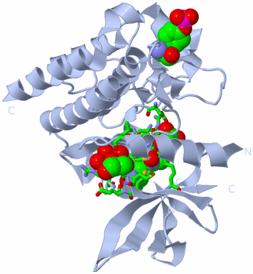 Image Biol. Unit 1 - sites